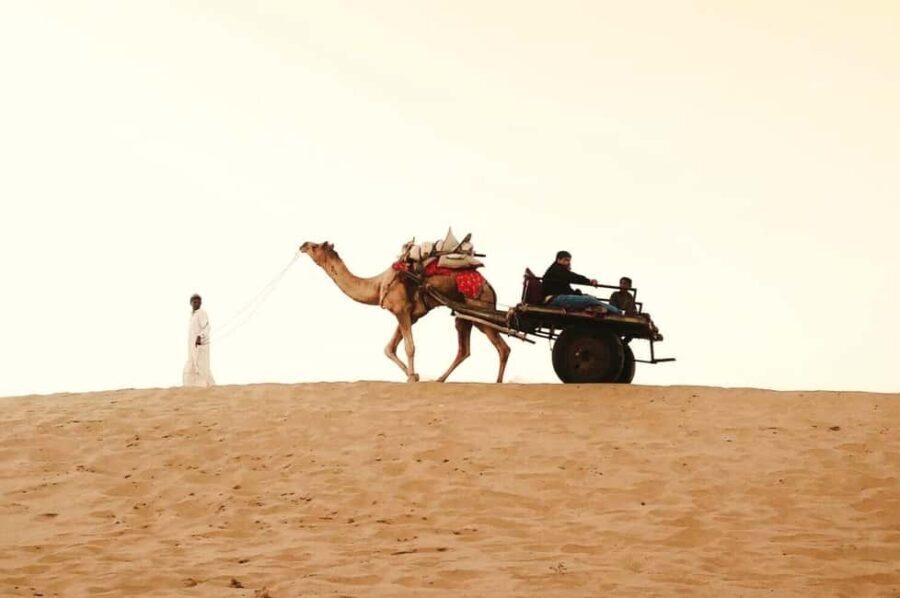All Inclusive Full Day Jaisalmer Golden City Tour - The Value of This Experience