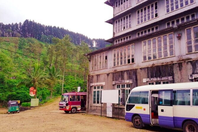 All inclusive Kandy Day Tour from Colombo & Negombo With Lunch - Insights from Reviewers