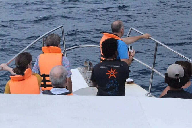 All Inclusive Mirissa Whale and Dolphin Watching Boat Ride - Why the Price Matters: Is It Good Value?
