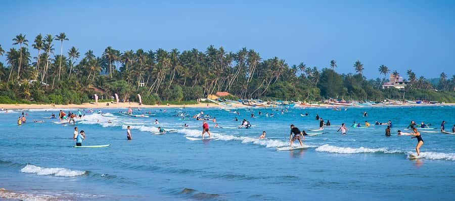 All Inclusive Weligama Bay Private Surf Lesson with Transfer - The Itinerary: From Pickup to Surf