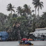 Alleppey: Kayaking and Shikkara Boat Tour with Local Meal - Meet and Greet at the Jetty