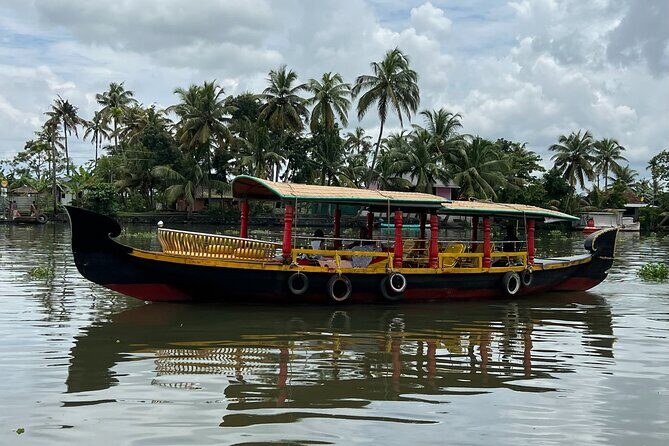 Alleppey Serene Canals Tour with Canoe Ride & Lunch from Kochi - Practicalities & Experience Quality
