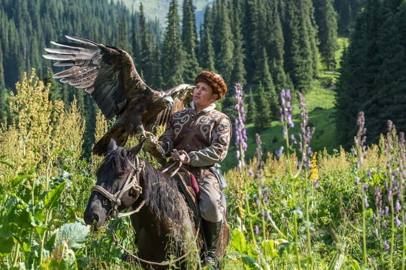 Almaty: Big Almaty Lake Hike and Falconry Show Tour - Practical Details and Value