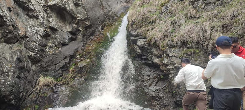 Almaty: Falconry show and Big Almaty Gorge - The Falconry Show: Birds of Prey in Action  