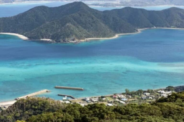 Amami Oshima Island Private Custom Tour with Local Guide - Who Will Love This Tour?