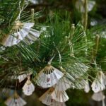 Amanohashidate: Hidden Temples Walking Tour with Meditation - Practical Details and Tips for Travelers