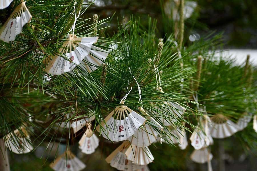 Amanohashidate: Hidden Temples Walking Tour with Meditation - Practical Details and Tips for Travelers