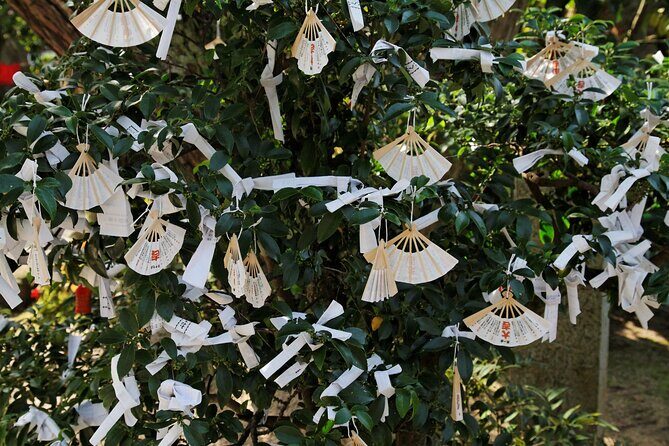 Amanohashidate & Ine Private Tour from Kyoto with English Driver - Discovering Ine’s Unique Charm