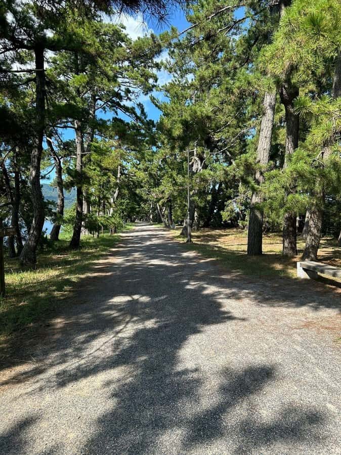 Amanohashidate: Sunrise Sandbar Stroll with Breakfast - Practicalities and Value