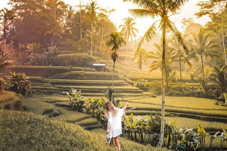 Amazing Kintamani Ubud Tour with Overlook Volcano View - What Makes This Tour Stand Out