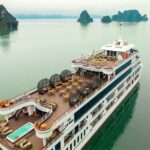 Ambassador Day Cruise Ha Long Luxury Day Cruise - Practical Tips & Considerations