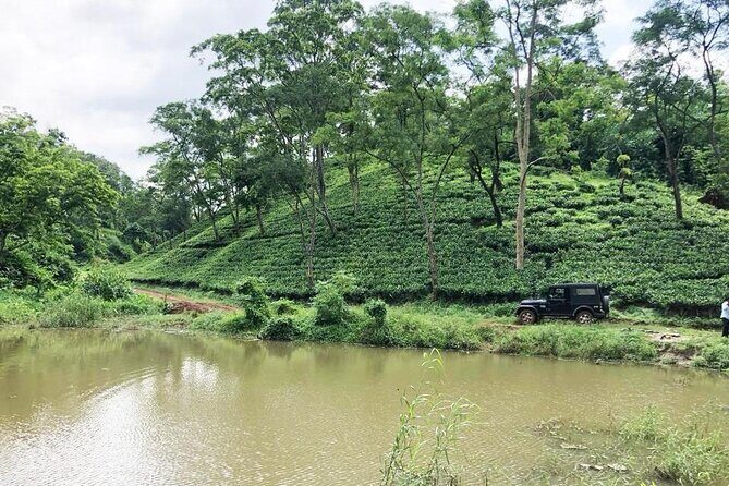 Amchong Tea Estate + Factory Visit (with Hi-tea only) - FAQ