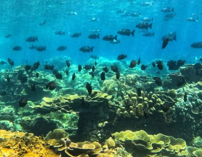 Amed All Exclusive Snorkeling, Fishing & Cooking Lunch - What Really Sets This Tour Apart
