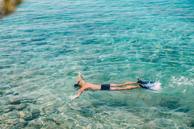 Amed Bali Snorkelling: Japanese Shipwreck & Vienna Beach Tour - Who Should Consider This Tour?