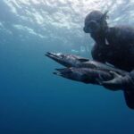 Amed: Spearfishing, Freediving and Catch & Cook Adventure - The Itinerary Breakdown