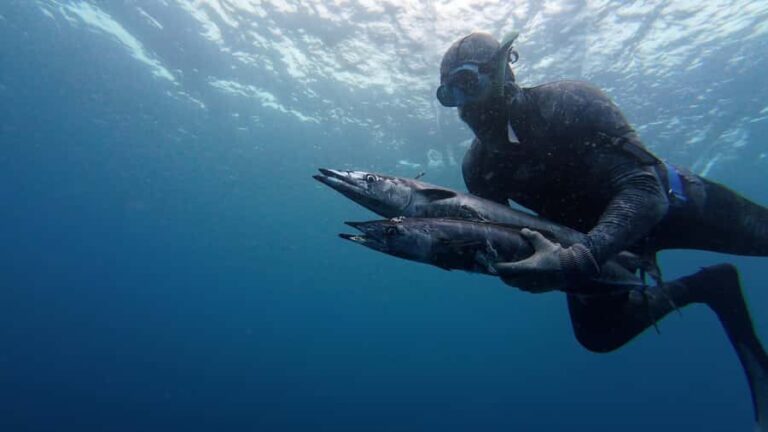 Amed: Spearfishing, Freediving and Catch & Cook Adventure - The Itinerary Breakdown