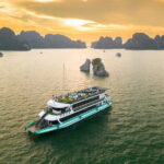 Amethyst Daily Cruise - 1 Day Luxury Halong Bay Tour from Hanoi - The Food and Drink Experience