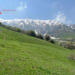 Amirsoy, Chimgan & Charvak Tour from Tashkent - The Experience in Detail: Why It Keeps Travelers Coming Back