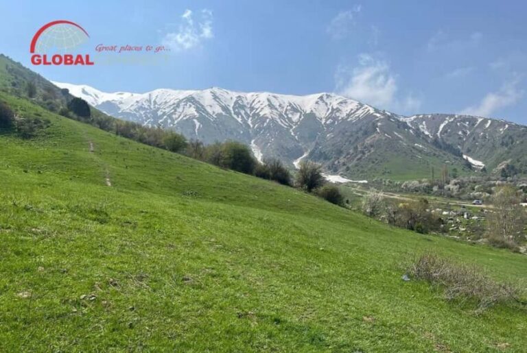 Amirsoy, Chimgan & Charvak Tour from Tashkent - The Experience in Detail: Why It Keeps Travelers Coming Back