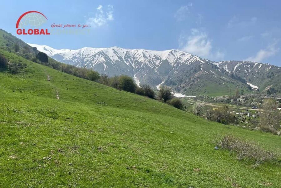 Amirsoy, Chimgan & Charvak Tour from Tashkent - The Experience in Detail: Why It Keeps Travelers Coming Back