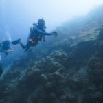Andaman: Havelock Scuba Diving by PADI 5-Star Dive Center - What to Expect from Your Dive Day
