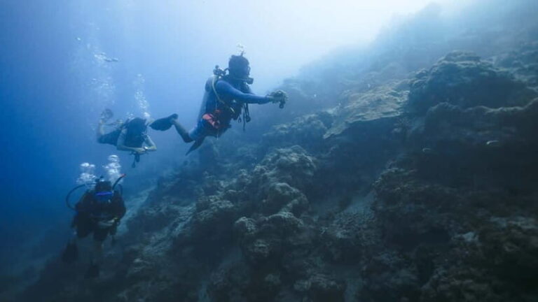 Andaman: Havelock Scuba Diving by PADI 5-Star Dive Center - What to Expect from Your Dive Day