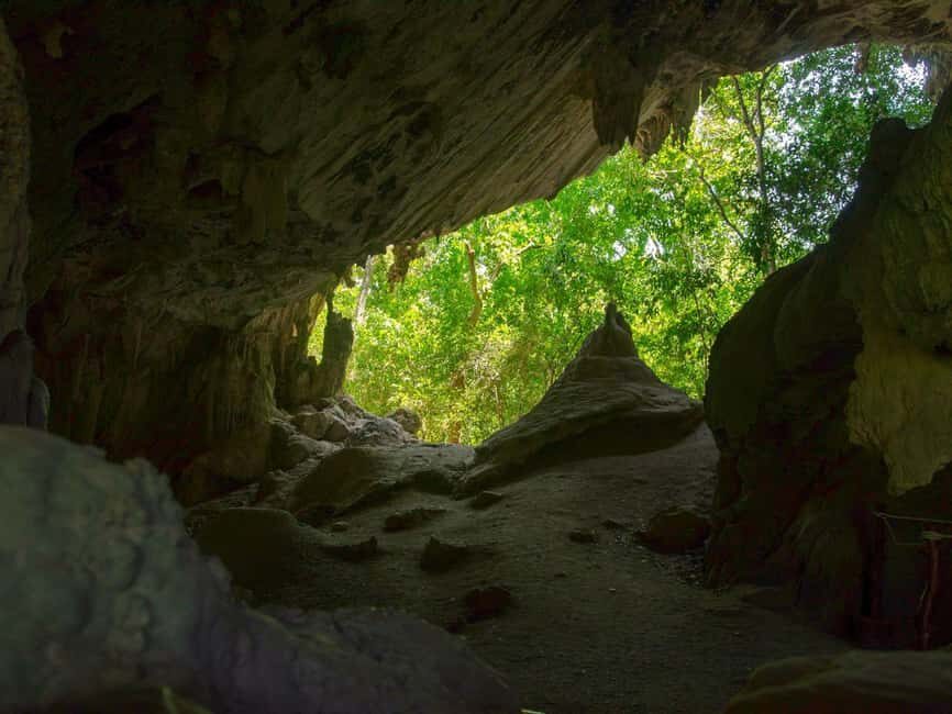 Andaman Island: Day Tour to Baratang Island - Critical Review: Safety and Value Concerns