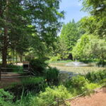 Andong: UNESCO Sites, Mask Dance, and Stunning night View - Why This Tour Is Worth Considering