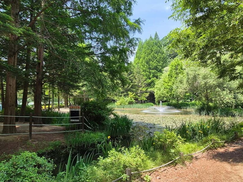 Andong: UNESCO Sites, Mask Dance, and Stunning night View - Practical Details and Tips