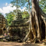 Angkor full day tour (Full intense day to discover the most) - The Experience and What Makes It Special