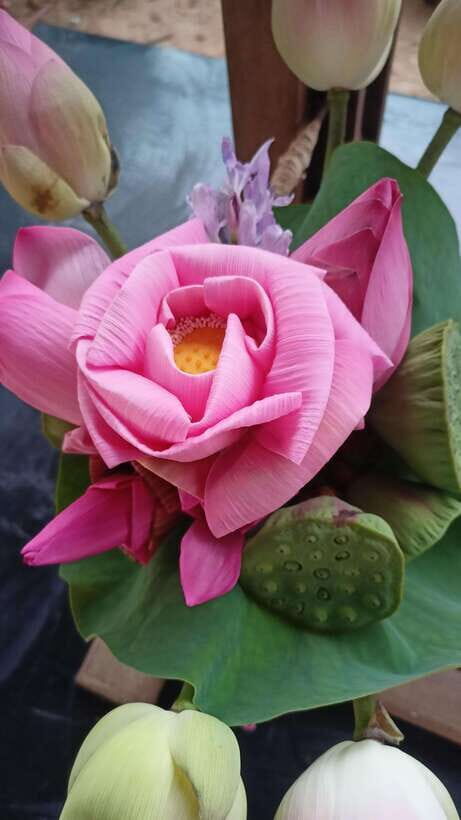 Angkor Silk Farm & Lotus Silk Farm: Siem Reap Discovery Tour - FAQ