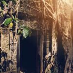 Angkor Thom Ta Prohm and Sunset in Angkor Wat Golden Hour Tour - Practical Details: What You Should Know