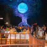 Angkor Tiger VIP Matchday & Labyrinth Dining Experience - Analyzing the Value