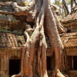 Angkor Wat: 2-Day Sunrise and Floating Village Tour - Whats Included and What Not