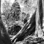 Angkor Wat & Banteay Srei 1-Day Tour - In-depth breakdown of the itinerary