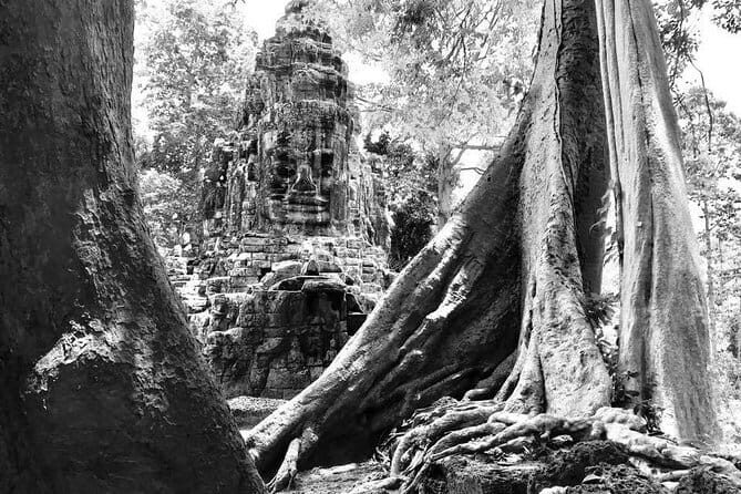 Angkor Wat & Banteay Srei 1-Day Tour - In-depth breakdown of the itinerary