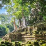 Angkor Wat Full-Day Private Tour  Bayon & Ta Prohm Highlights - Who Would Love This Tour?