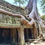 Angkor Wat: Highlights and Sunrise with Spanish Guide - Transportation and Practicalities