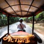 Angkor Wat Private Tuktuk Tour with English Speaking Driver - What Reviewers Say