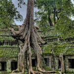 Angkor Zipline and Discover Highlight Angkor wat with Sunset - Practical Details and Tips
