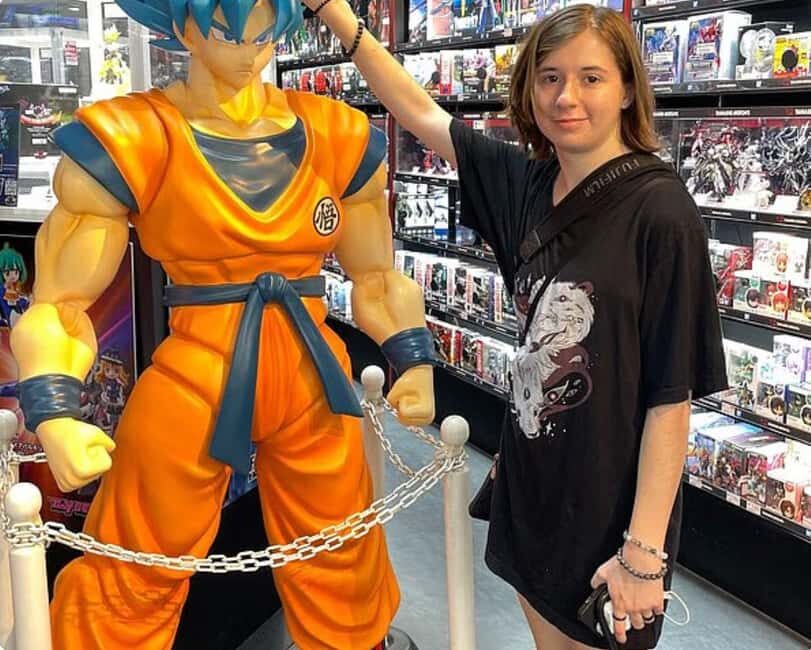 Anime & Manga Lovers Akihabara Tour  Private Tour - The Practicalities