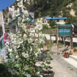 Annapurna Circuit Trek in Nepal (9 Days) - Authentic Experiences and Cultural Encounters