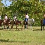 Antigua: Horseback Riding at Royalton or Dickenson Bay - The Value of a Short but Sweet Horseback Tour