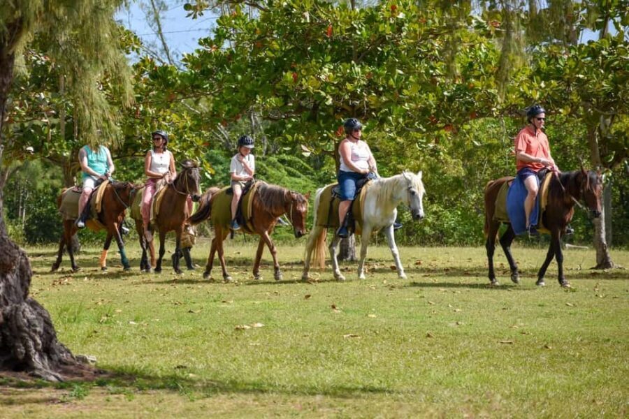 Antigua: Horseback Riding at Royalton or Dickenson Bay - The Value of a Short but Sweet Horseback Tour  