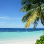 Antigua Private Beach Hopping Land Tour - Authenticity and Real Experiences