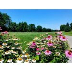 Antique Banga & Balete Tour - The Journey Begins: Making the Most of Your Day