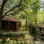 Ao Dai Photoshoot and Son Tra Cultural Tour - Authentic Traveler Insights