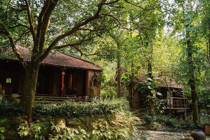 Ao Dai Photoshoot and Son Tra Cultural Tour - Authentic Traveler Insights