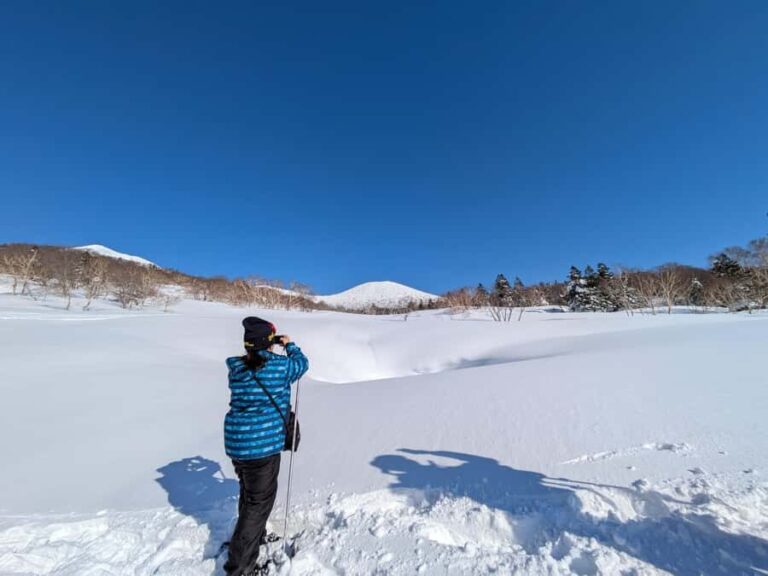 Aomori: Hakkoda Snowshoe Adventure with Guide - The Snowshoeing Experience