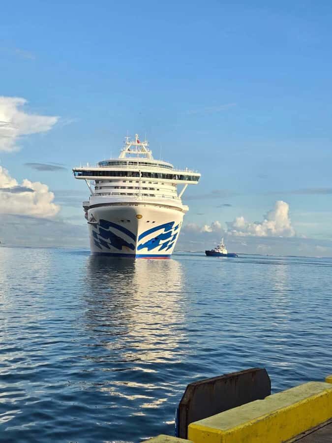 Apia Port: Cruise Guests Shore Excursion - What Makes This Tour Stand Out?